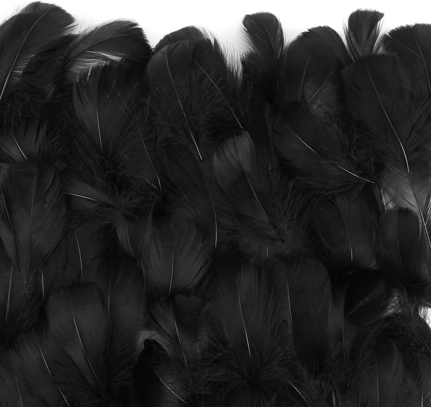 MWOOT 40 Pièces Plumes Loisirs Creatifs Naturelles, 4 Styles Plumes De Faisan Plumes De Canard, Plumes D'Artisanat Pour DIY Costumes Chapeaux Festival Fete Mariage Décoration