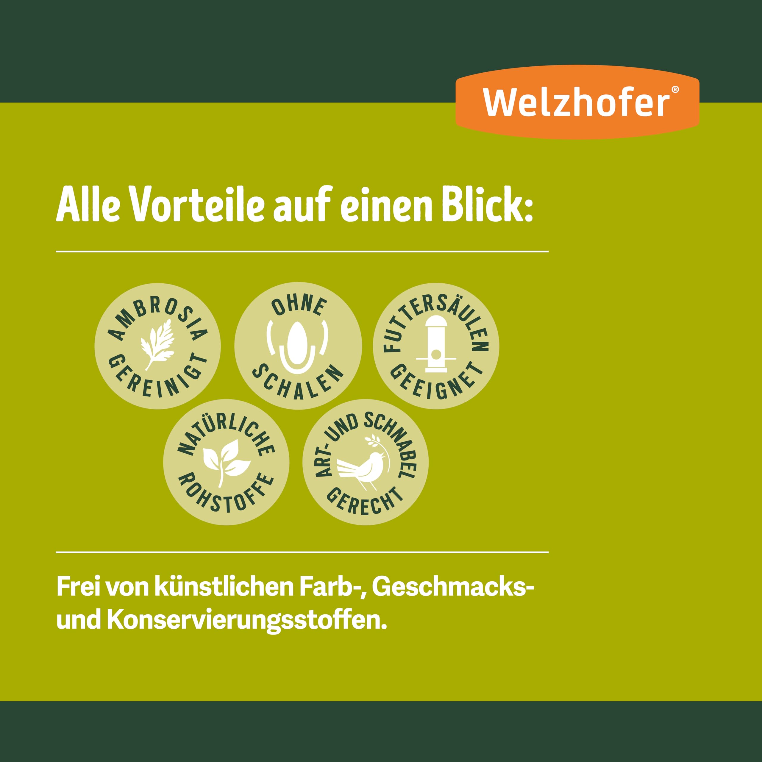 Spezialfutter 10kg - Schalenlose Mischung für Wildvögel für Balkon & Terrasse, perfekt für Beeren- & Körnerfresser. Gesunde Ernährung, Basis für Vitalität & Starkes Immunsystem