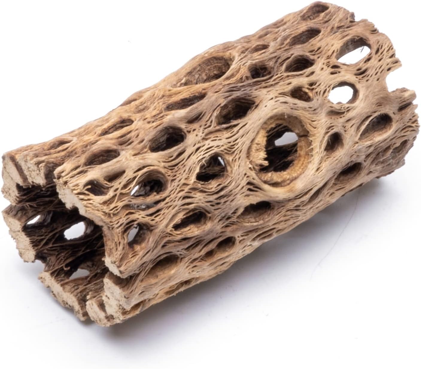 Awesome Aquatic Natural Cholla Choya Wood Combo 4 Pieces 2