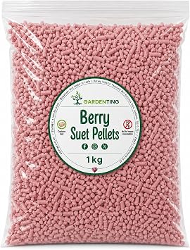 Garden Ting Berry Suet Pellets Wild Bird Food, 1 kg