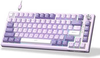 Amazon.com: MageGee SKY81 75% Mechanical Gaming Keyboard, Gasket