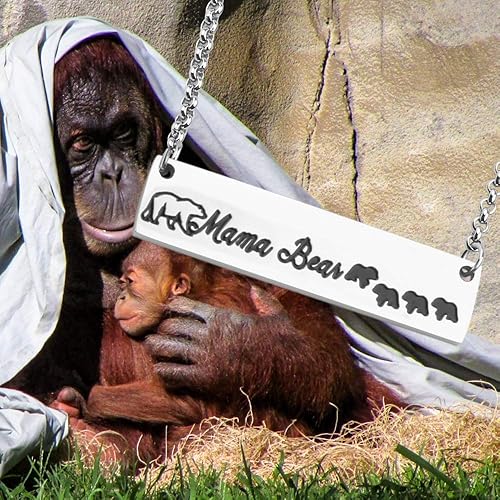 Miniatura 7 de Detailed Regalo para mamá, oso, collar de joyería de animales, collar de mamá oso y sus cachorros