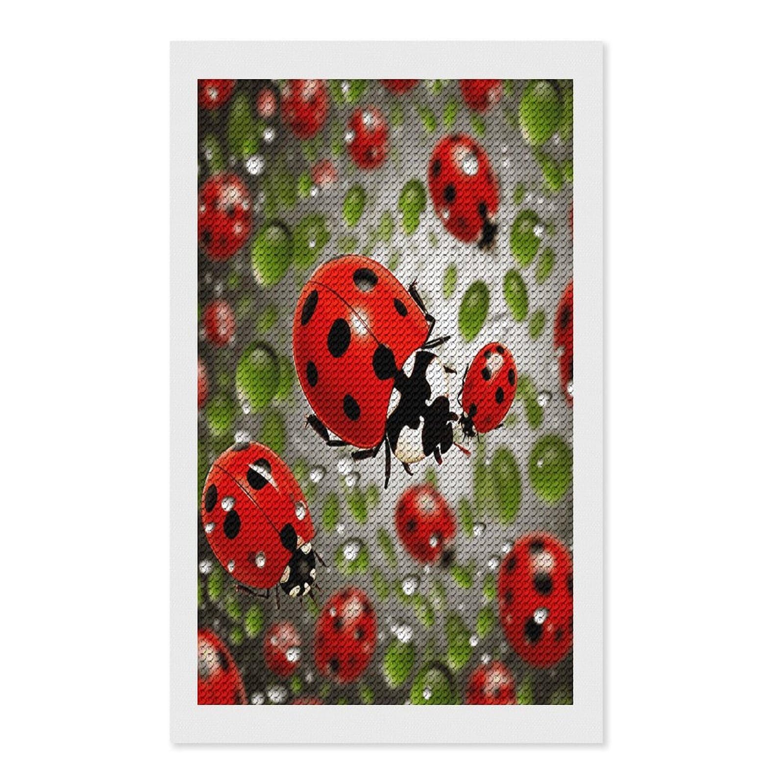VstaDank Ladybug Diamond Painting Kits Exquisite DIY Full Round Drill Diamond Dots Painting for Adults Beginner Diamond Photo Paint with Diamond Picture Art Wall Decor 12"x20"