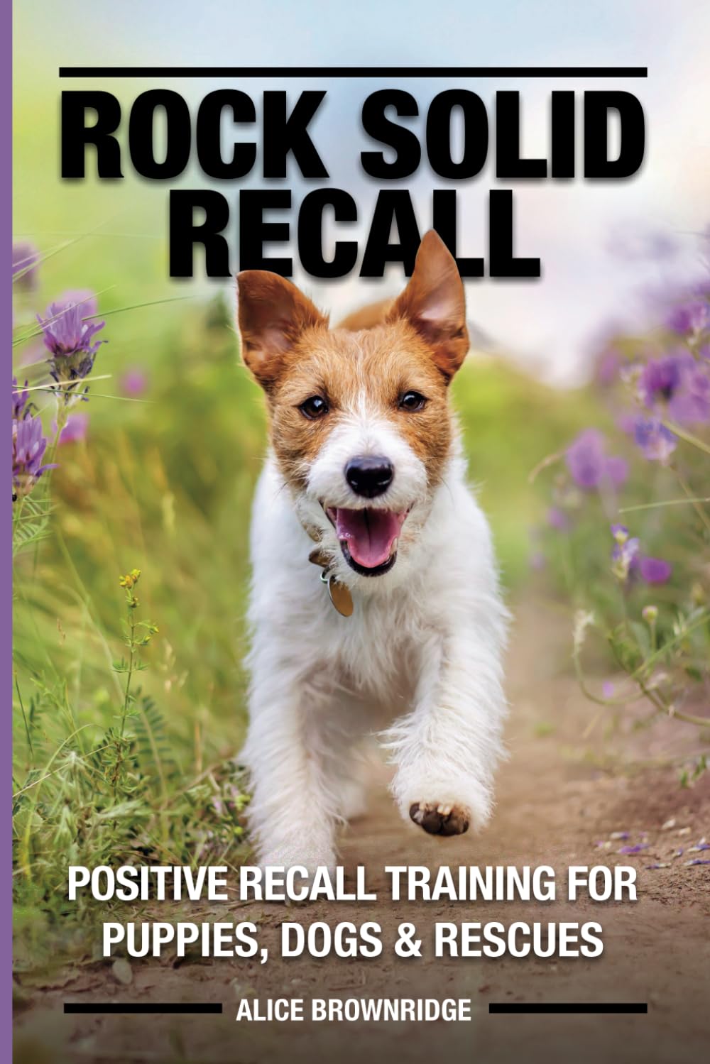 Rock Solid Recall: Positive recall training for Puppies, Dogs & Rescues