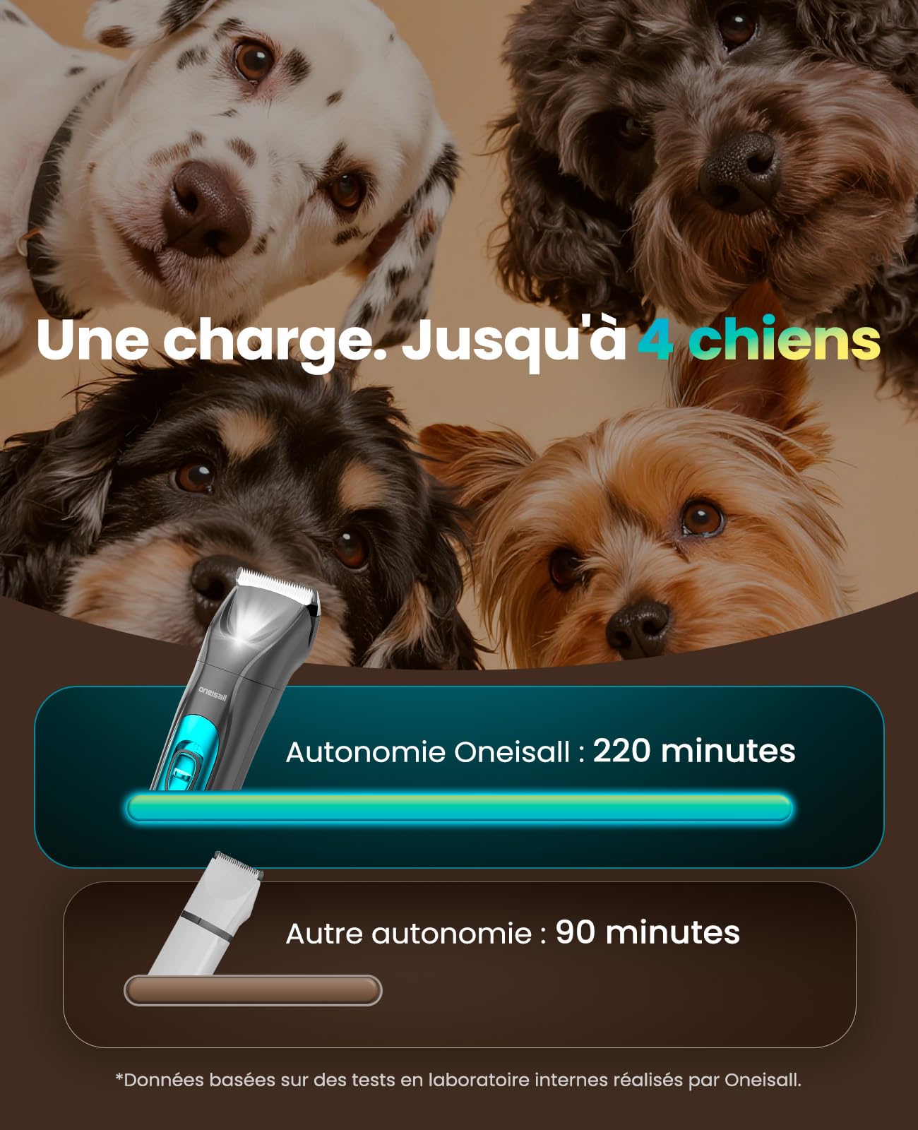 oneisall 4-en-1 Tondeuse pour Chien Professionnelle Sans Fil pour Animaux, Tondeuse à Poil Long Epais avec Lumière LED, Toilettage Rechargeable 2000mAh, Rasoir pour Chien et Pattes (Bleu)