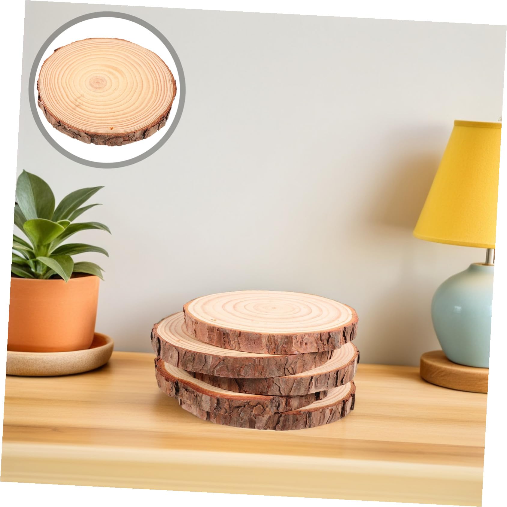 5 Stück Rustikale Holzscheiben Unbehandelte Baumscheiben mit Natürlicher Rinde für DIY Basteln Hochzeit Dekoration und Kreative Holzplättchen Gestaltung