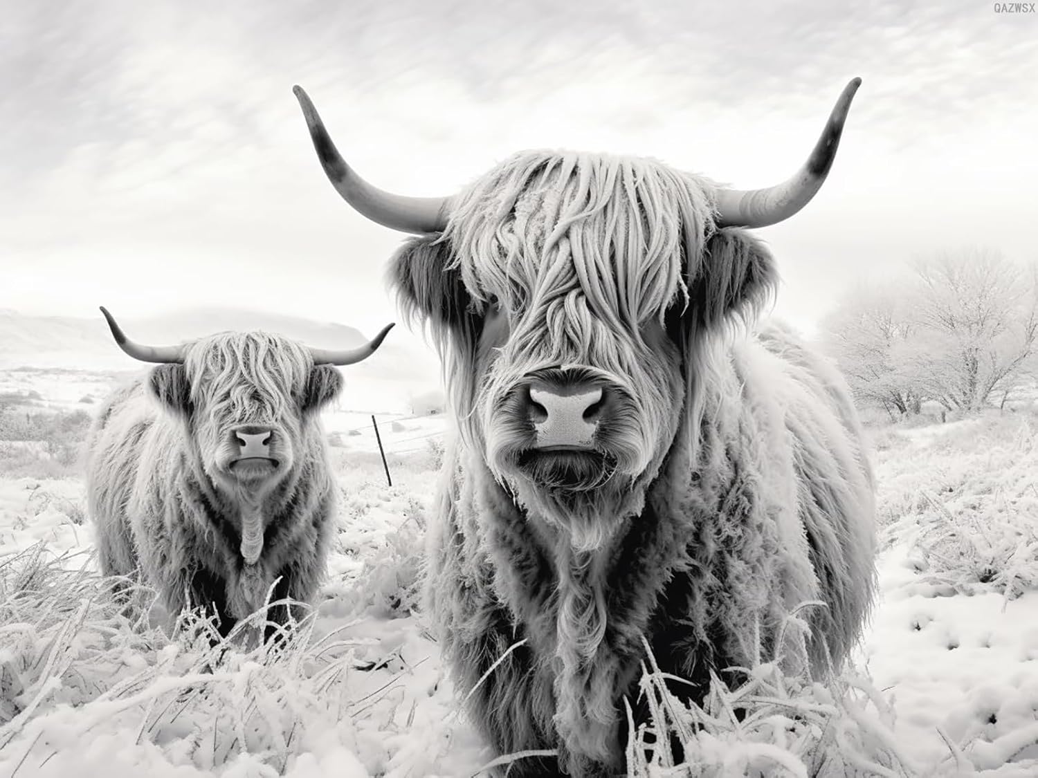 QAZWSX Black White Highland Cattle Cow 5D Diamond Art Painting for Adults Full Drill Round Diamond Paint by Number Kits for Beginners Gems Cross Stitch for Wall Decor 12x16inch