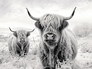 QAZWSX Black White Highland Cattle Cow 5D Diamond Art Painting for Adults Full Drill Round Diamond Paint by Number Kits for Beginners Gems Cross Stitch for Wall Decor 12x16inch
