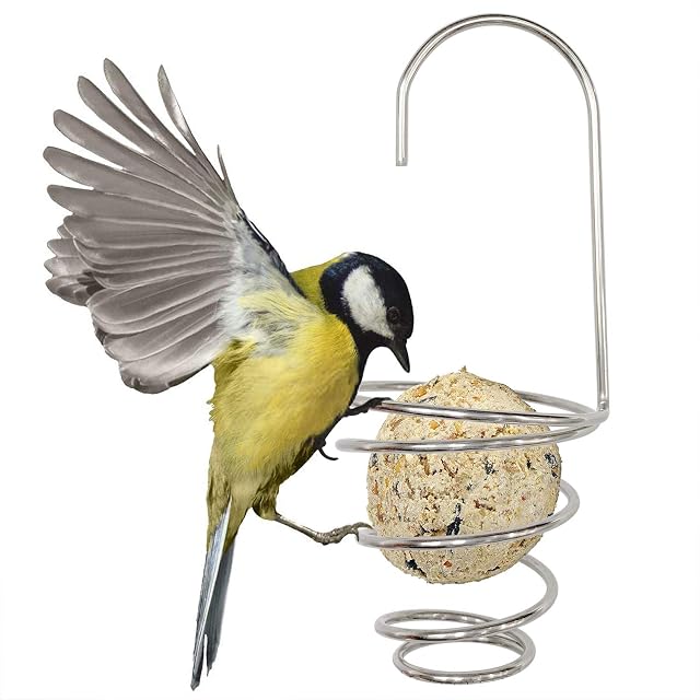 Zeqeey Simple Spiral Fat Ball Small Bird Feeder 2Pcs Stainless Steel Garden Birds Food Holder for Wild Bird Feeding Blue Tit Dunnock Robin Sparrows Finches
