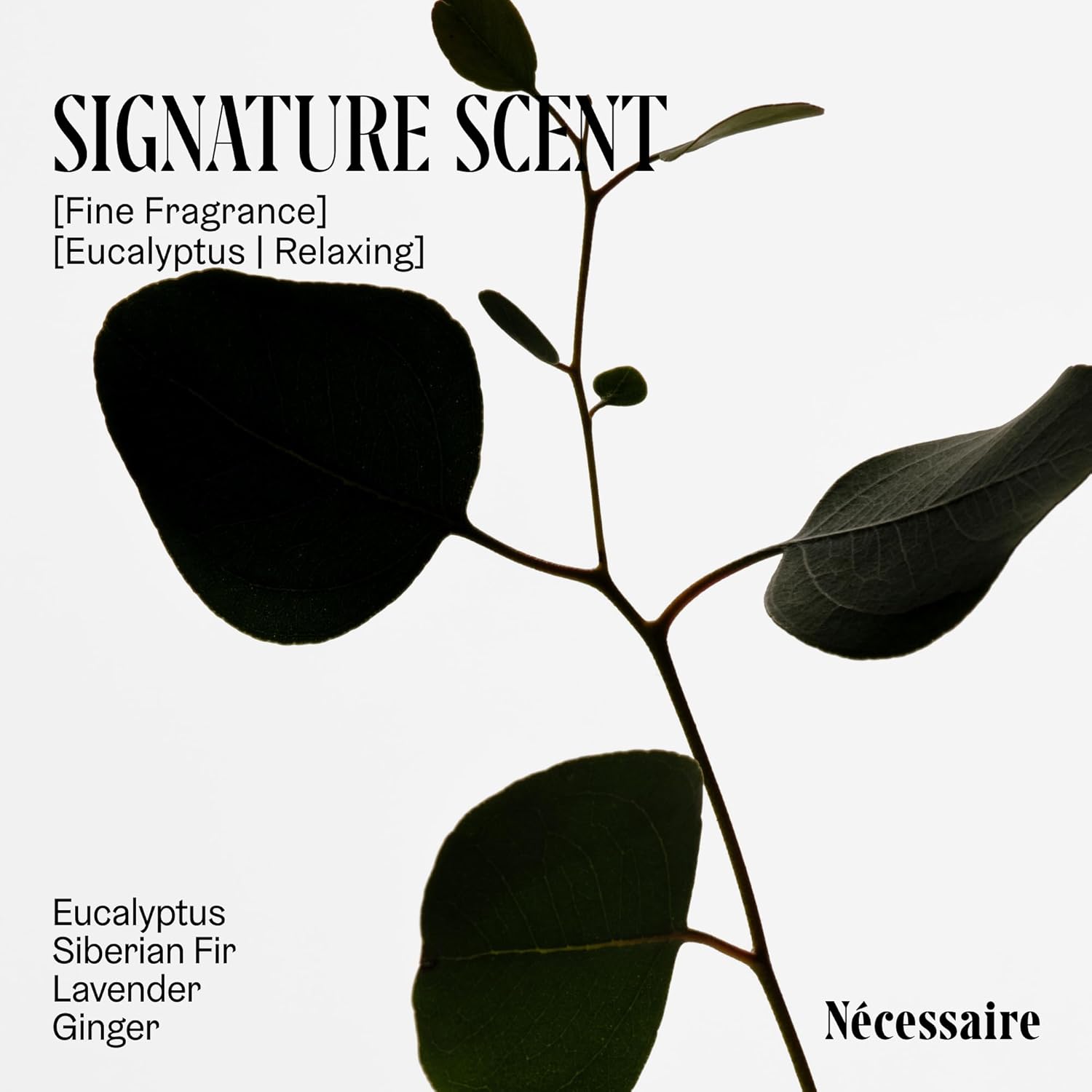 Nécessaire The Deodorant Eucalyptus | Natural Aluminum Free Deodorant For Women & Men. Extra Strength Treatment with Mandelic Acid. Free of Baking Soda, Ozokerite & Parabens (75 g/2.5 oz) - Image 5