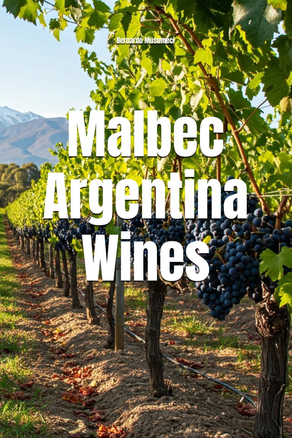 Malbec Argentina Wines (Wines of the World: Argentina)