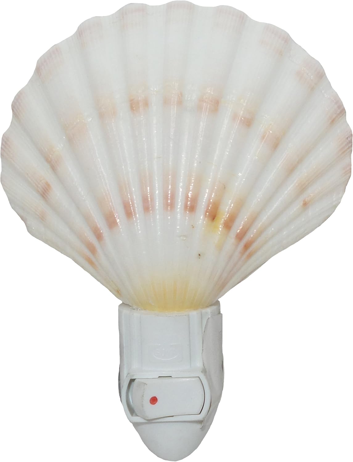 05139 Seashell Night Light Set of 2 (Irish Deep & Yellow Cup),