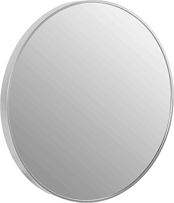 Cortesi Home Opra Mirror with Brushed Silver Metal Frame, 24