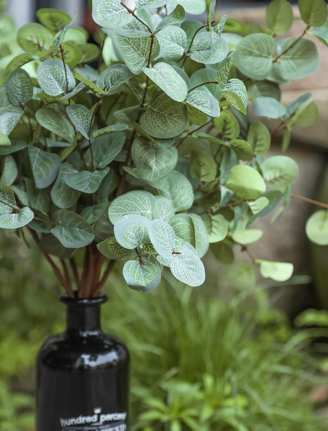 Miracliy Faux Eucalyptus Stems Artificial Eucalyptus Leaves Silk Silver Dollar Eucalyptus OliveBranches for Vases for Home Table Decor