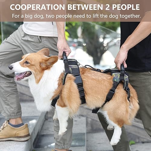 Miniatura 7 de Coodeo Arnés de elevación para perros, soporte de cuerpo completo y eslinga de recuperación, chaleco de rehabilitación para patas traseras de