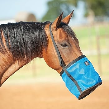 feed rite pet shop & supply