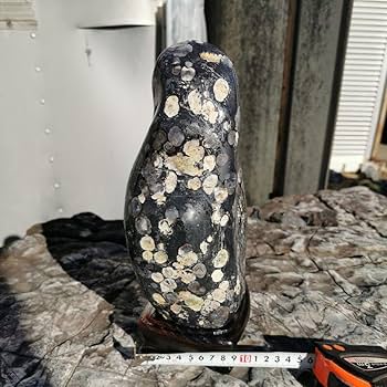 Amazon.co.jp: 東北産 梅花石 6.7キロ 鑑賞石 石 置物 オブジェ