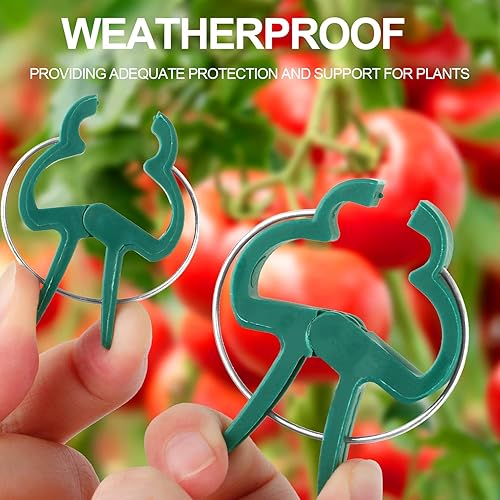 Miniatura 4 de 40 clips de soporte para plantas, flores y vid, clips de soporte para plantas de tomate de jardín para apoyar tallos, enredaderas crecen