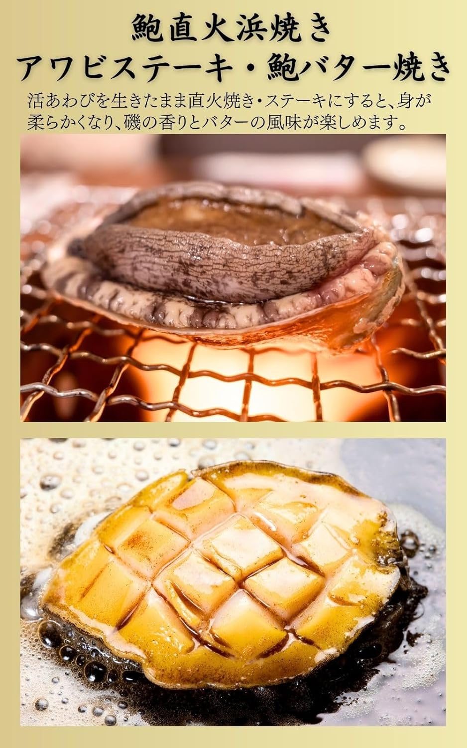 生きたまま直送 活あわび 殻付 Lサイズ・1㎏ (90-100g/枚・10-