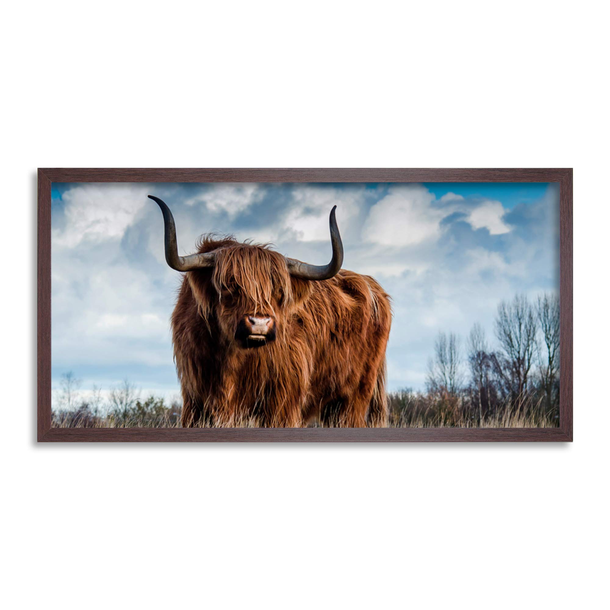 Scottish Highland Coo Cow Long Panel Framed Wall Art Print