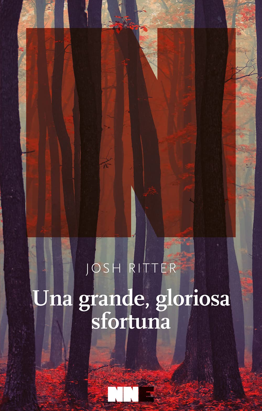 Una Grande, Gloriosa Sfortuna - 4