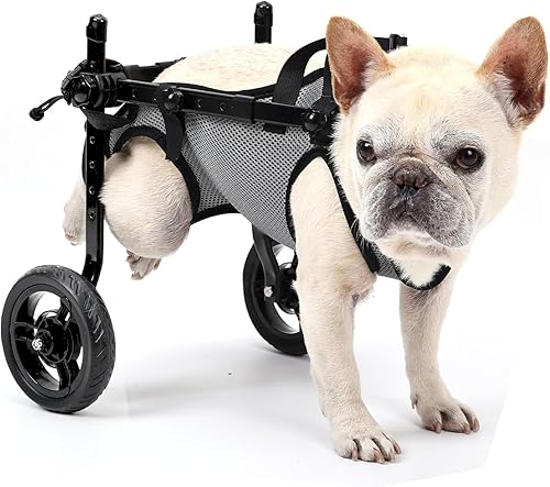 Dog Wheelchair for Back Legs, Light Weight Dog Wheelchair Cart with Disabled Hind Legs Walking, Adjustable