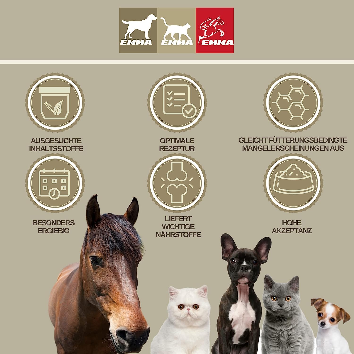 Pâte de vitamine pour chevaux I Booster d'énergie I Vitamines B I Complexe de vitamine B Cheval B12 Lysine Zinc Cheval I Minéraux I Renforcer le système immunitaire I Vitamine E Cheval Oldie Oldie