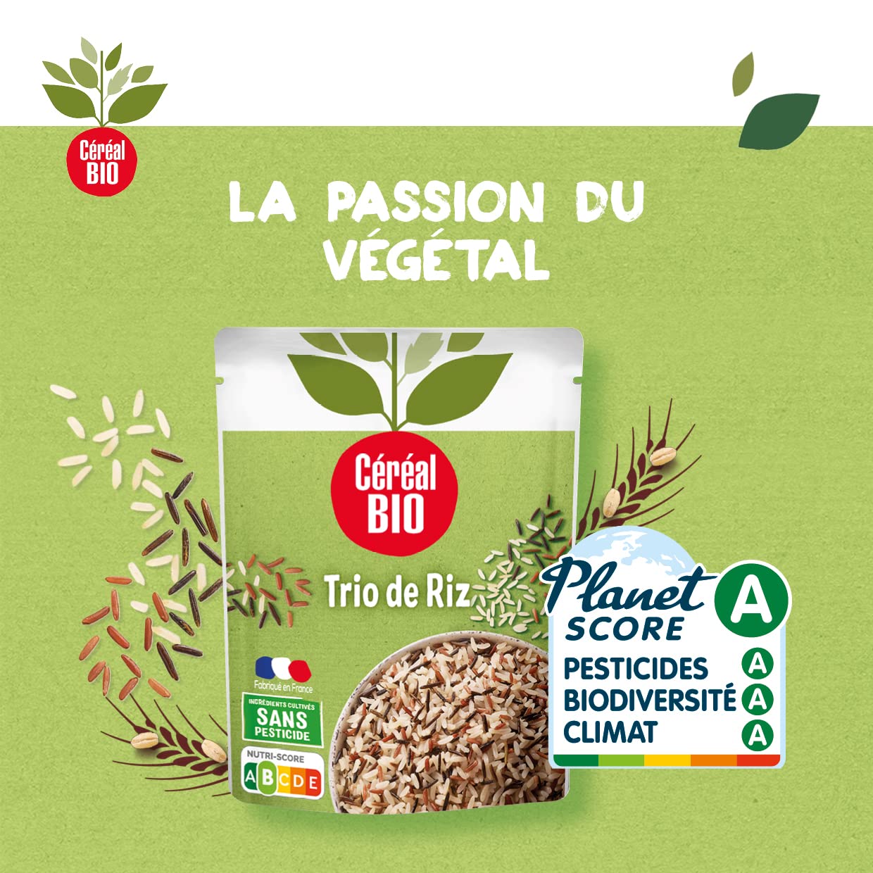 CÉRÉAL BIO – Trio de Riz – Mélange de Riz Bio Nature – Recette Végane – Plat Cuisiné Bio Individuel – Repas Prêt à Réchauffer en 2 min – Nutriscore B – 220 g - 5