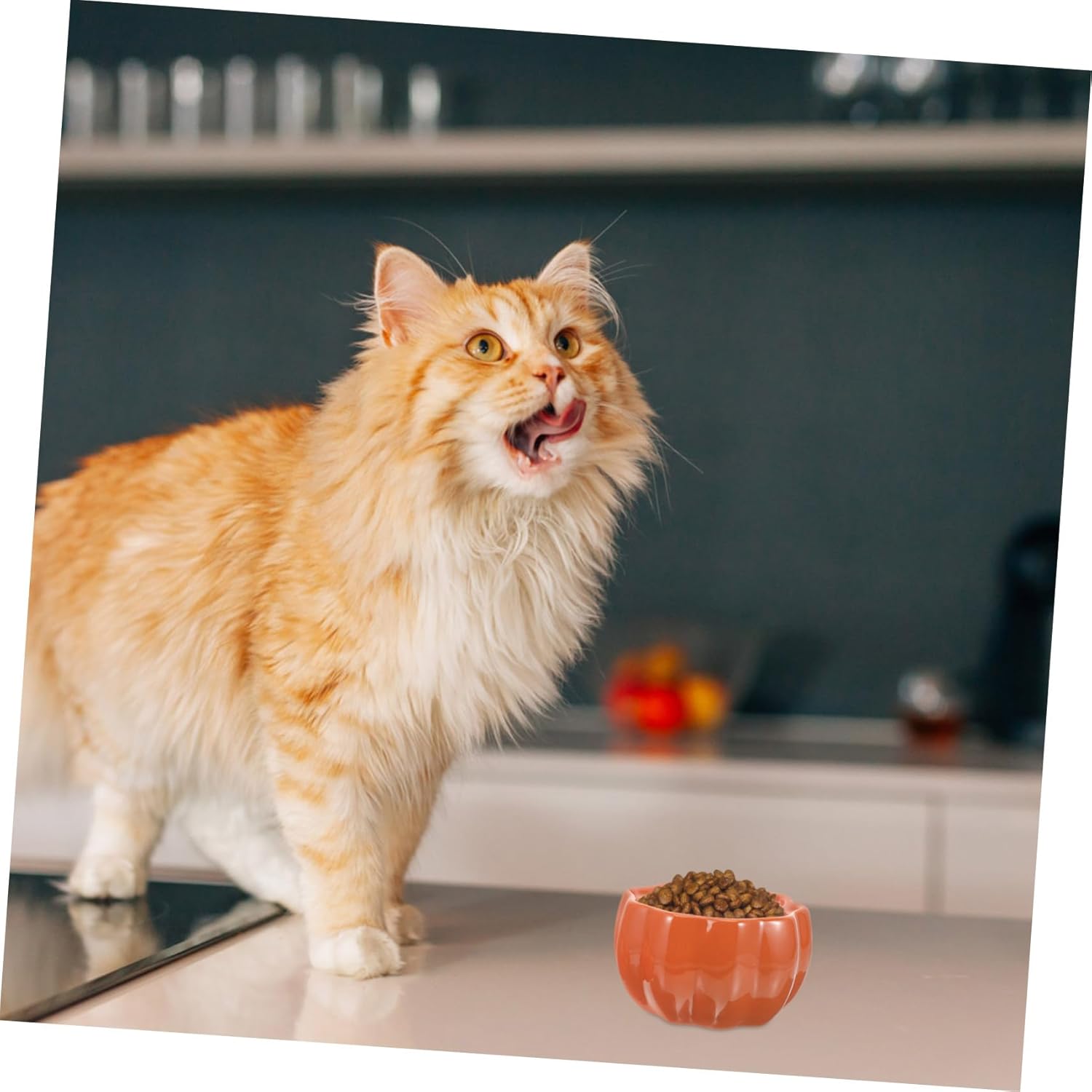 BESPORTBLE Pumpkin-Shaped Ceramic Pet Bowl for Dogs and Cats Food Dispenser User-Friendly Design Attractive for Feeding and Home