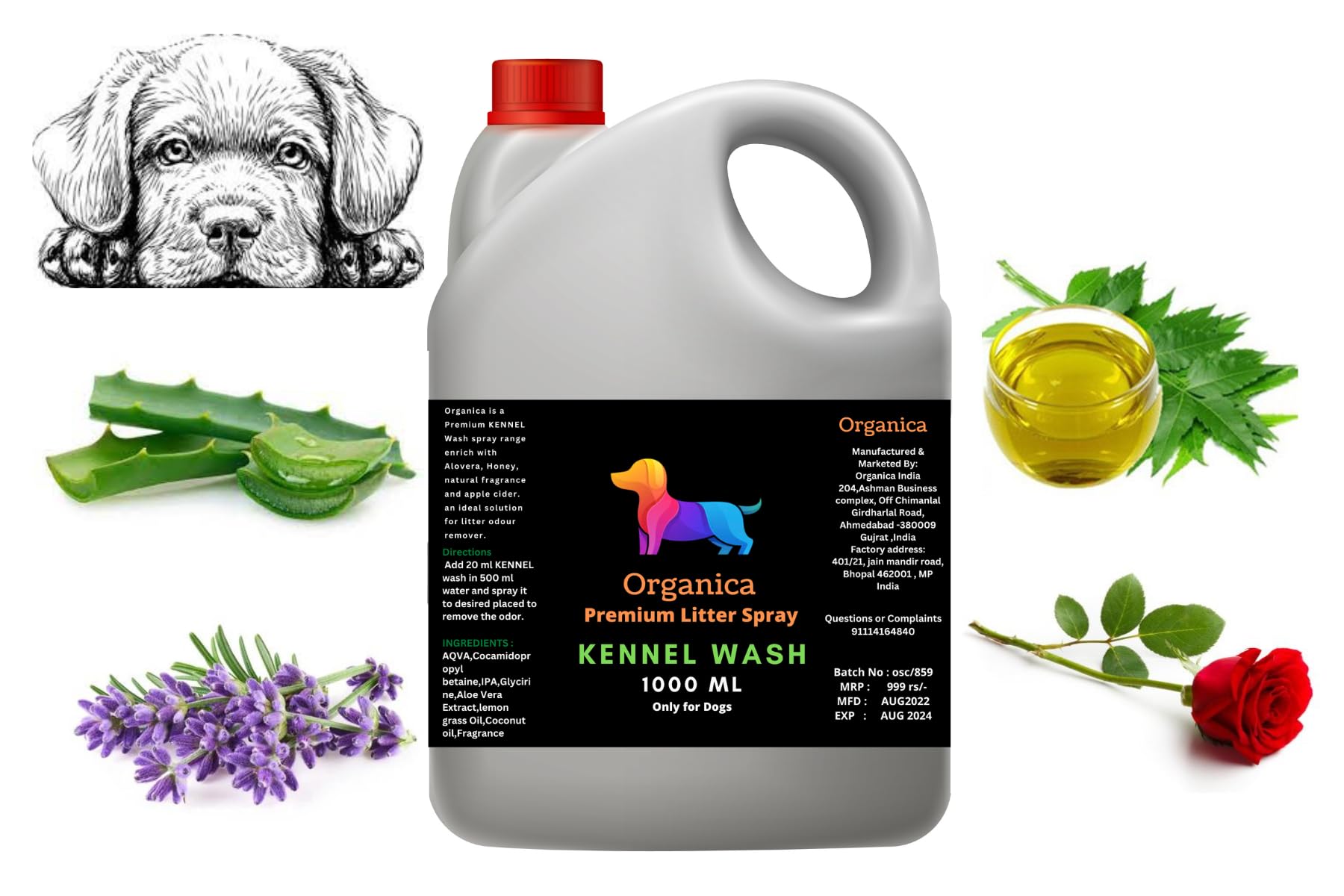 Organica Pet Area Cleaner/Kennel Wash/Kennel Cleaner/Pet Floor Cleaner/Bio-Technological Pet Floor Cleaner/Natural/Pet & Child Safe Floor Cleaner (5000 ML) (B0CS72DQND) Amazon Price History, Amazon Price Tracker