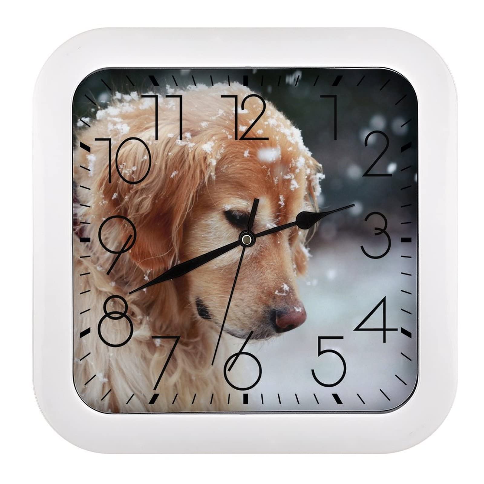 Horloge Murale Golden Retriever en Carré 26cm pour Salon