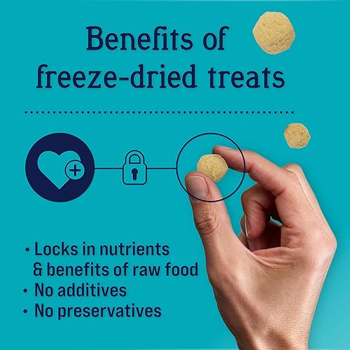 Miniatura 4 de Stewart Golosinas liofilizadas para perros, receta de tocino y queso PuffPops, sin gluten, bolsa resellable de 2.8 onzas, fabricada en Estados