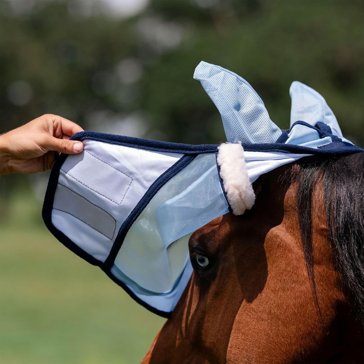 Professional's Choice Fly Screen Mask | UV Protective Lightweight mesh | Breathable and Soft Ear coverings | Forelock Hole for Added Security and Comfort | Cob Size