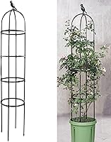 Anothera 6ft Rustproof Garden Obelisk Trellis for Climbing Plants - Heavy Duty Plastic Coated Metal Support for Clematis, Vines, Jasmine (Black)