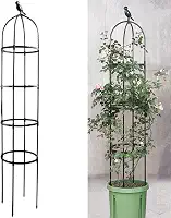Anothera Treliça de Jardim para Plantas Trepadeiras, Tubo de Metal À Prova de Ferrugem de 6 Pés com Revestimento de Plástico Resistente, Suporte para Plantas Em Vasos Internos para Jardim Externo, Tre