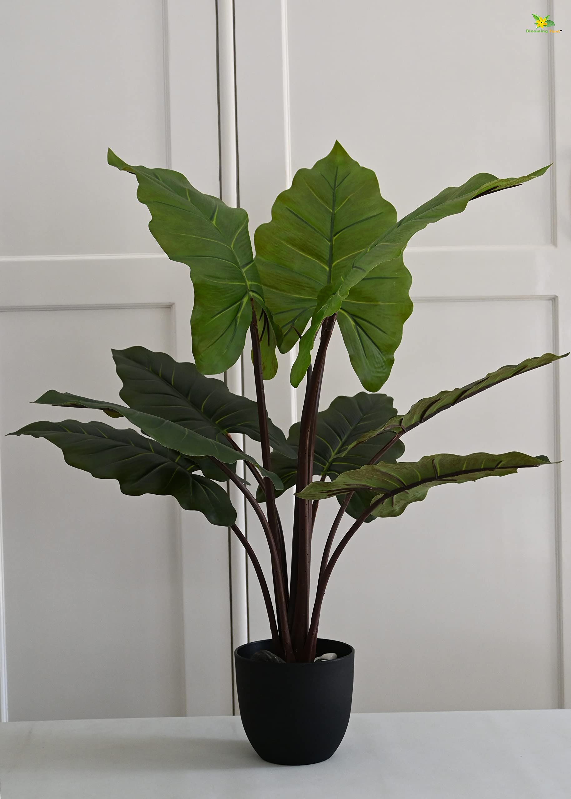 Blooming Floret Artificial Taro Plant | with Basic Black Pot | 9 Leaves | Big Ornamental Plant for Interior Decor/Home Decor/Office Decor | 90.1 cm Tall Indoor Plant | Durable