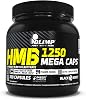 OLIMP SPORT NUTRITION Olimp Labs HMB Capsules, 1250 mg, Pack of 300 Mega Capsules