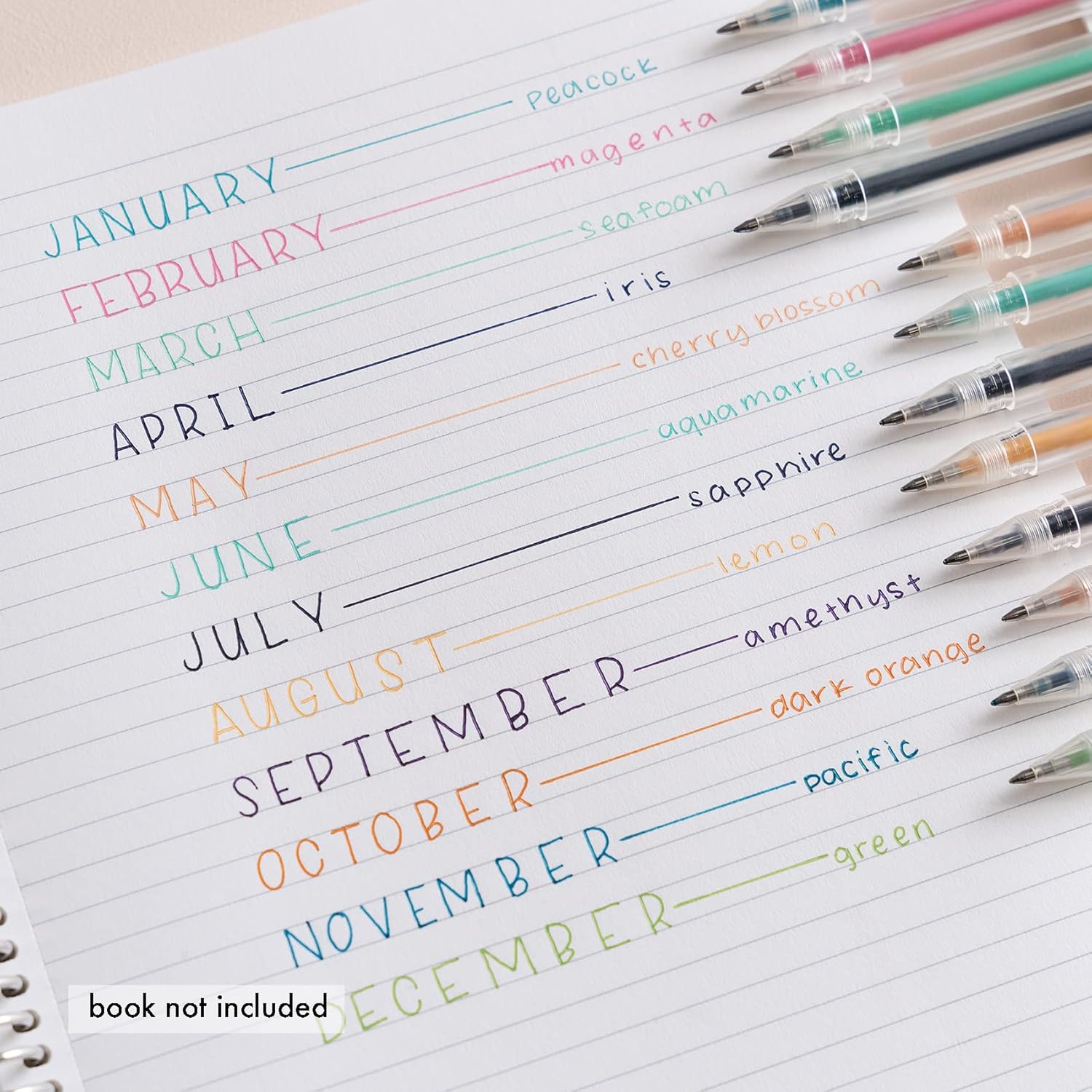Erin Condren Colorful Gel Pens 12-Pack Rich Premium Ink. Writes Smoothly on Most Surfaces. Set of 12 Pens with 12 Ink Colors Perfect for Writing and Drawing
