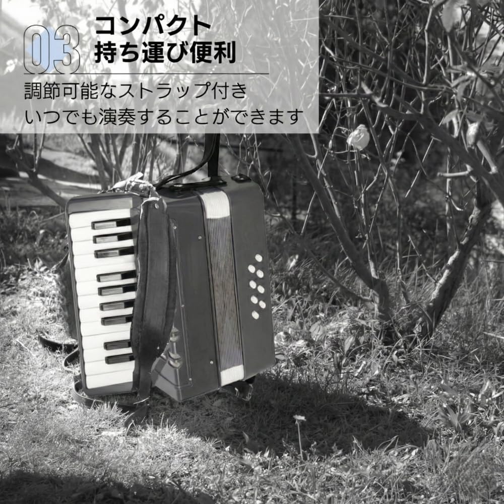 Amazon | Asdays アコーディオン 17鍵 8ベース ピアノ ミニ