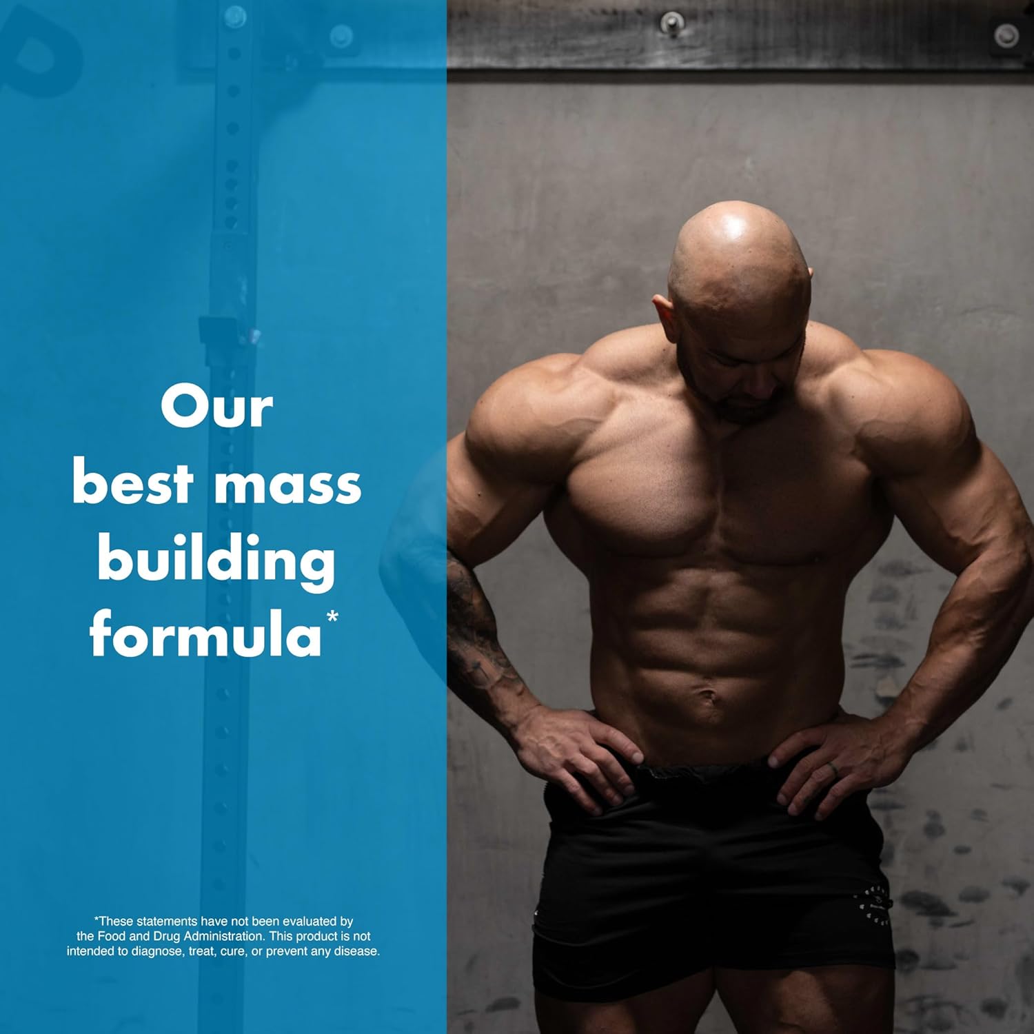 Anabolic Warfare Project Bulk, Mass Building Formula, Protein Synthesis, Strength, Muscle Definition, Made with Botanicals* - Image 7