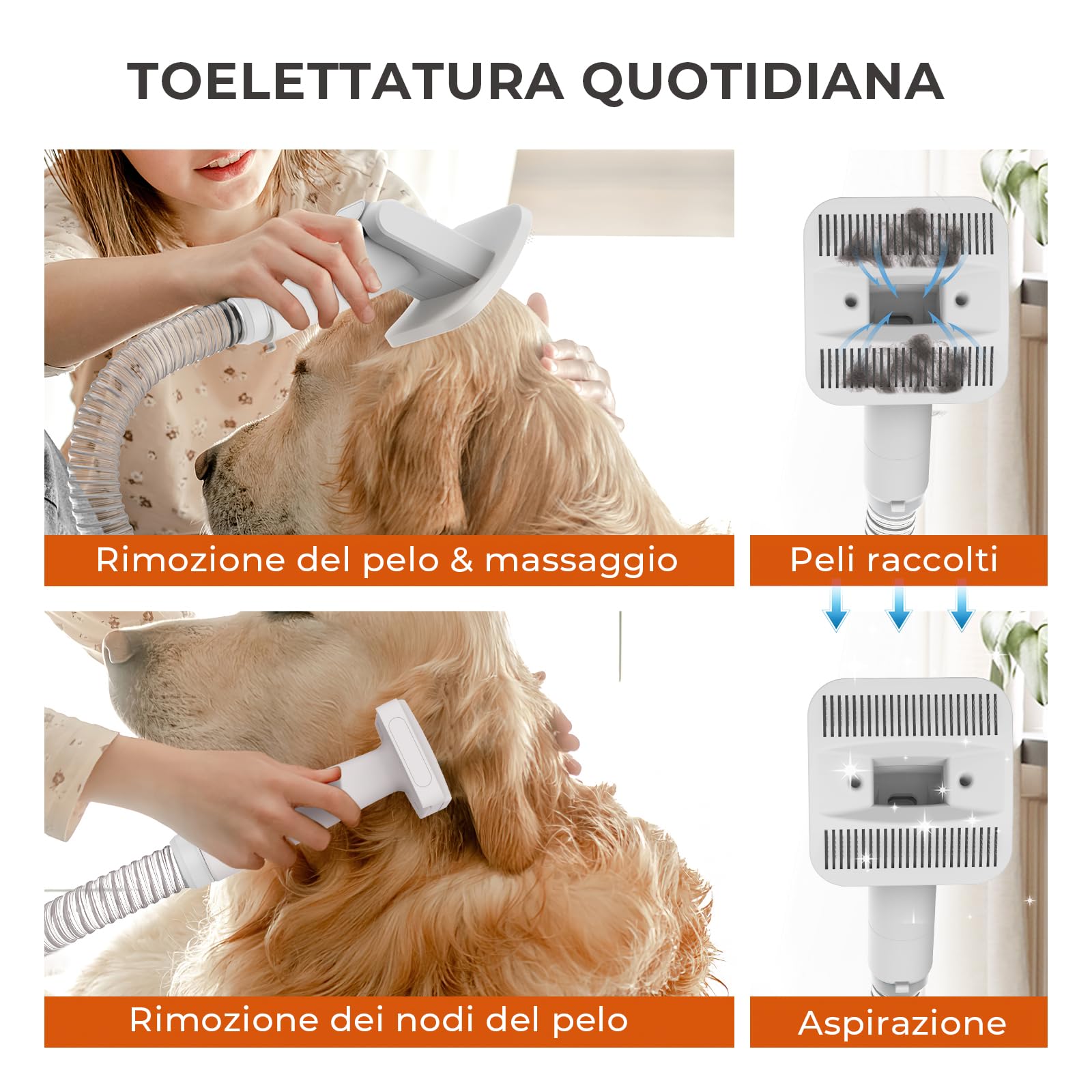 CAREPET Kit Toelettatura Asciugatura e Aspira peli Cane e gatto Per Animali Domestici - Tosatrice per Cani e Gatto Pelo Lungo Professionale - Strumenti per la toelettatura Depilazione Aspira peli