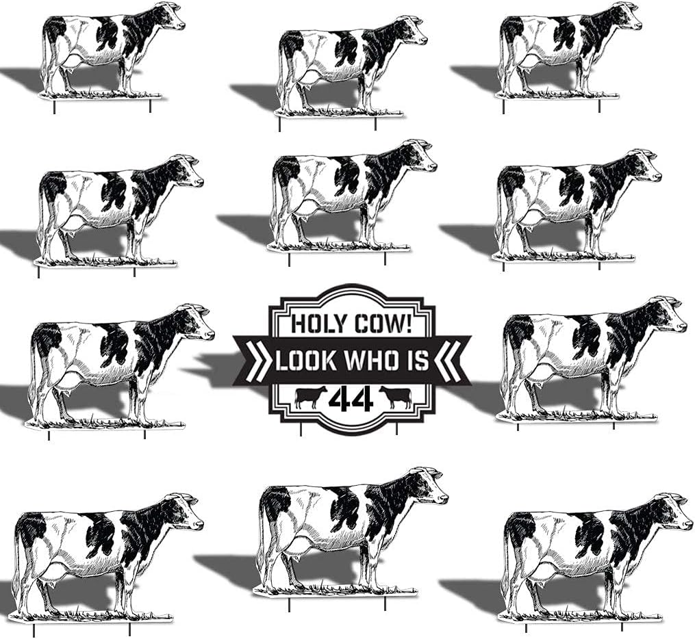 VictoryStore Yard Sign Outdoor Lawn Decorations: Custom Birthday Yard Decoration, Holy Cow! Look Who is Includes Stakes