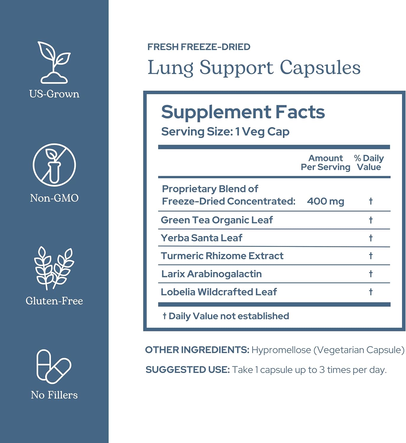Eclectic Herb - Concentrated Lung Support Capsules | Promotes Healthy Lung Function | Natural, Non-GMO, Vegan (45 CT | 400 mg)