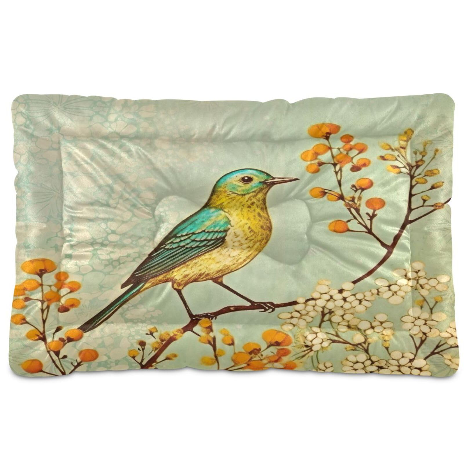 Kigai Vintage Bird Pet Bed Mat, Non-Slip Washable Pee Pads Soft Comfortable Dog Bed Mat for Floor Living Room Sofa 24 X 18 Inch
