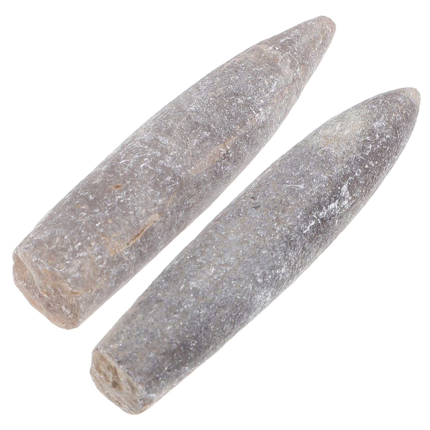 STOBAZA Educational Belemnite Specimen Natural Adornment Geology Study Belemnite Model Toy for Boys and Girls