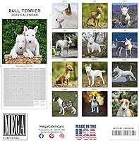 Vista 1458 de Razas de Perros 2017