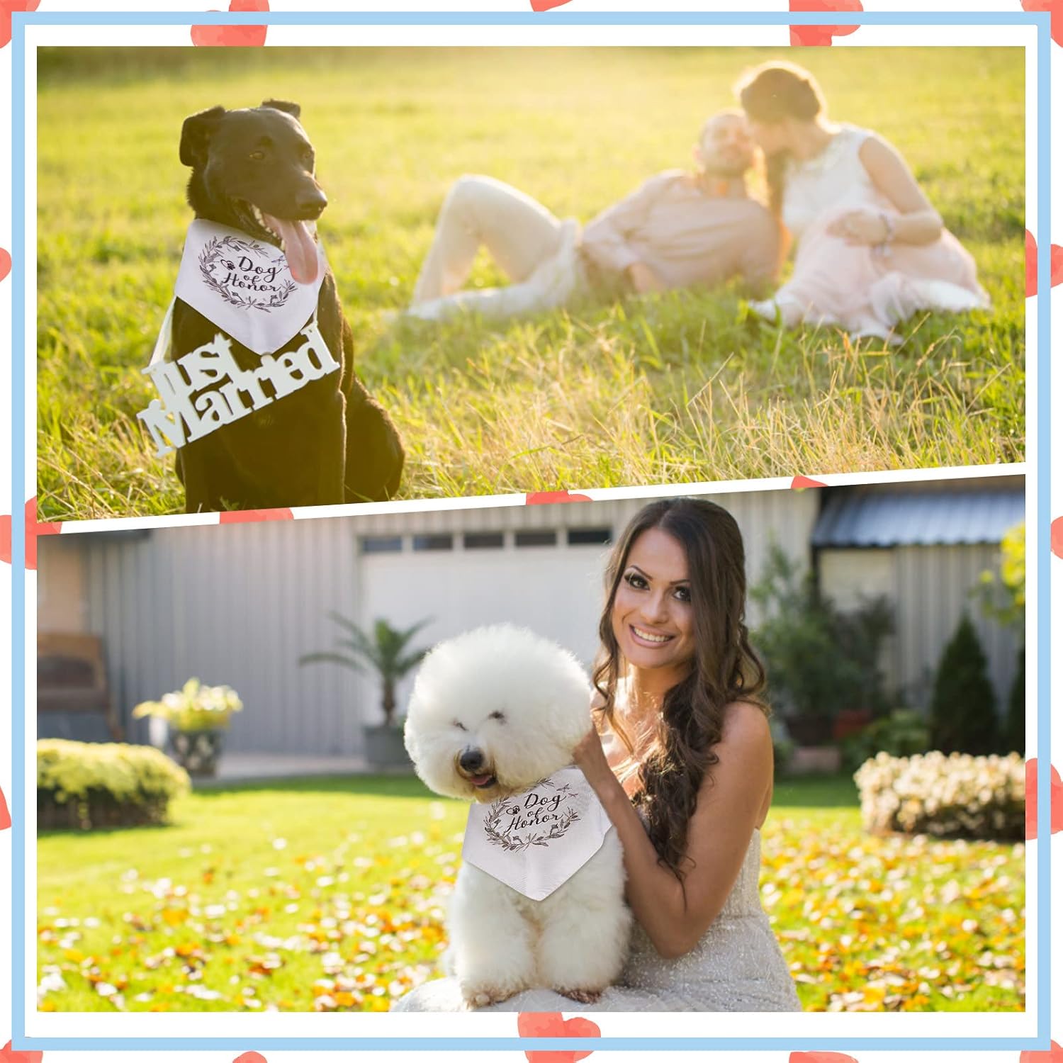 CRASPIRE Dog Honor Dog Bandana Wedding Pet Bandana White Olive Branch Triangle Pet Dog Scarf Dog Engagement Wedding Announcement Photo Props Necklaces Accessories 6