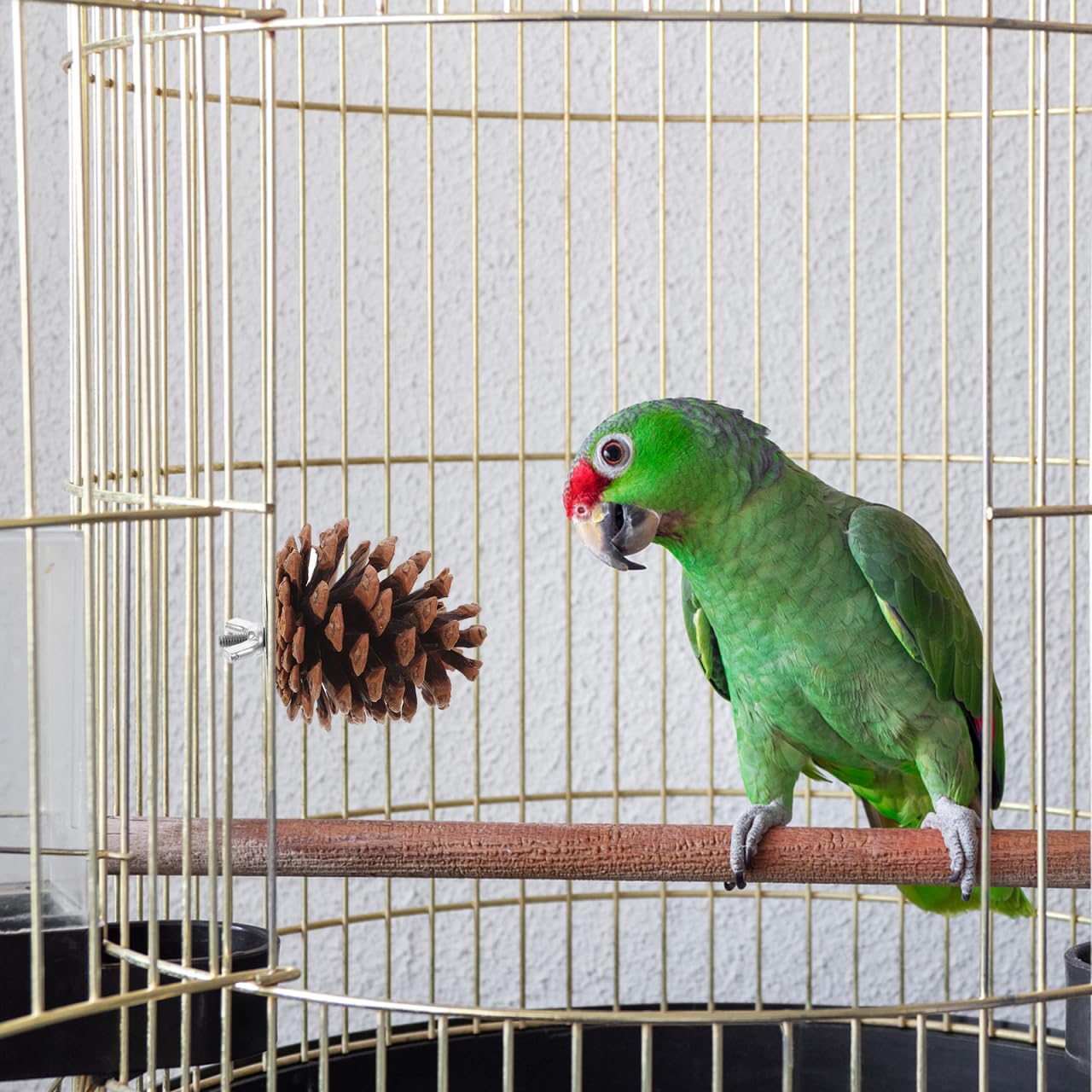 10 Pcs Natural Pine Cones Bird Toys, Parrot Chew Toy for Cage, Wood Foraging Shredding Playthings Conure Cockatiel Parakeet African Grey Macaw Nut Fixed - image 6