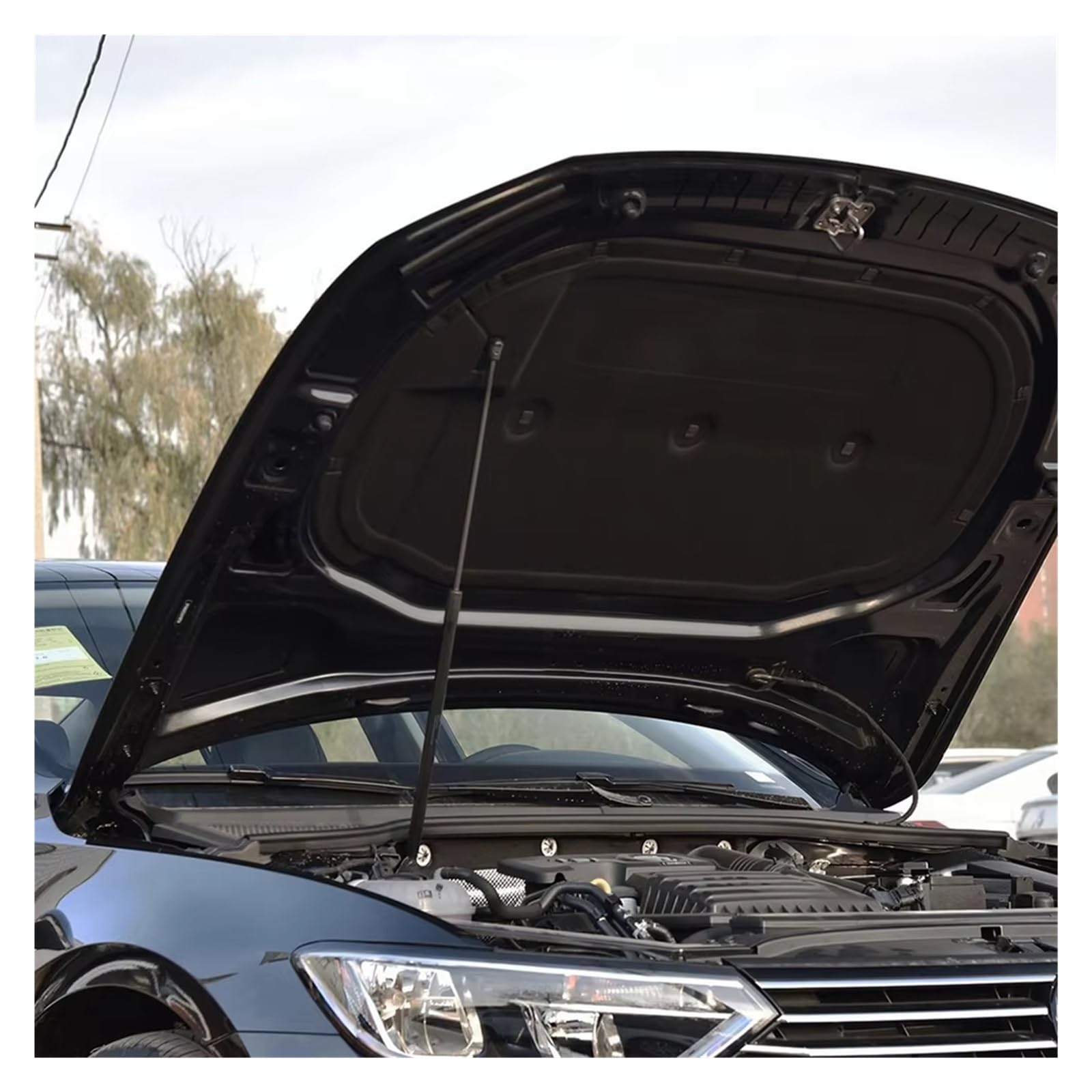 Amazon | ボンネットダンパー パサート用 B6用 B7用 2005-2014 油圧