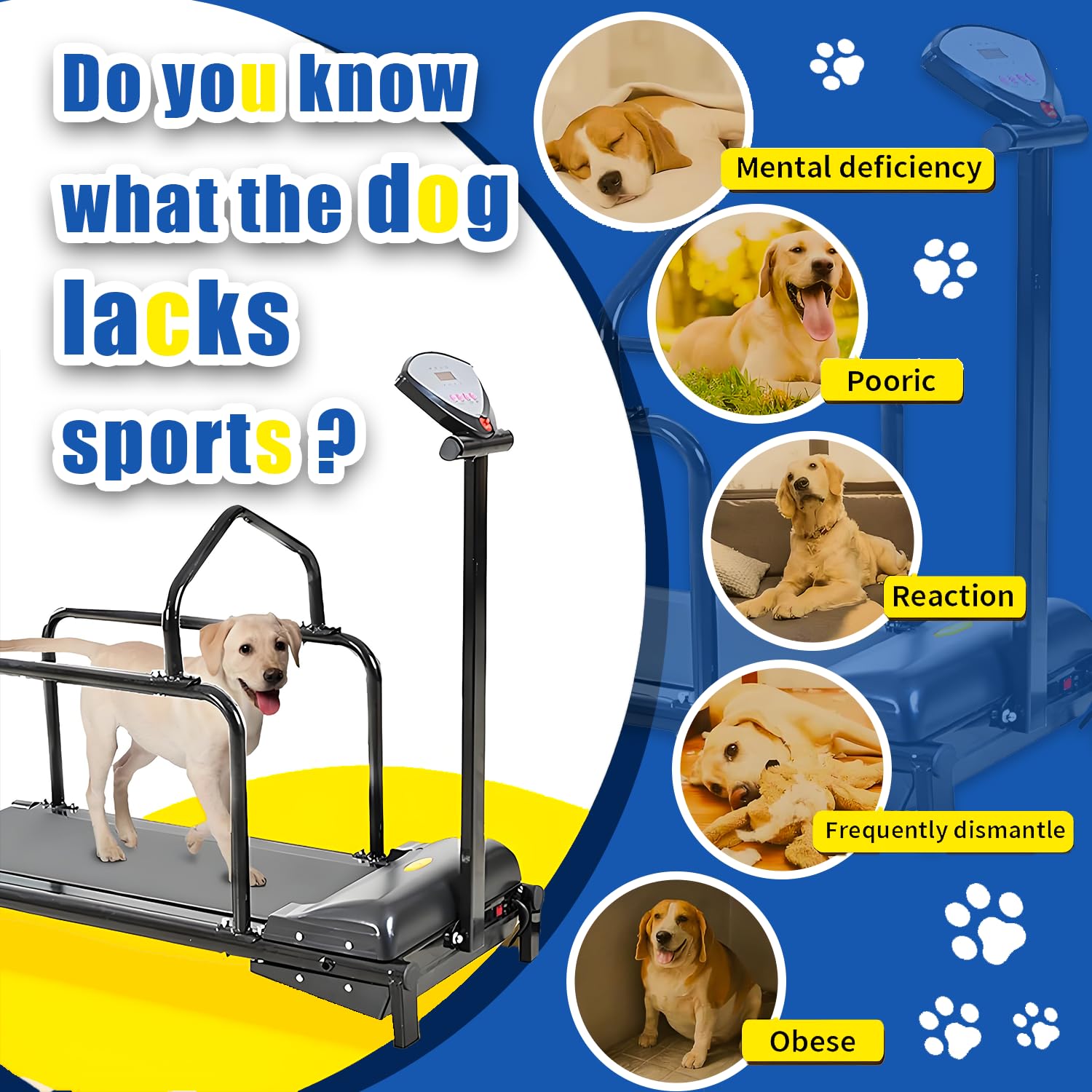 Fitness-Laufband für Haustiere, Hundelaufband, leiser Motor und einstellbare Geschwindigkeiten, mit Sicherheitszaun, Hundelaufband für große Hunde, Hundelaufband für mittelgroße Hunde